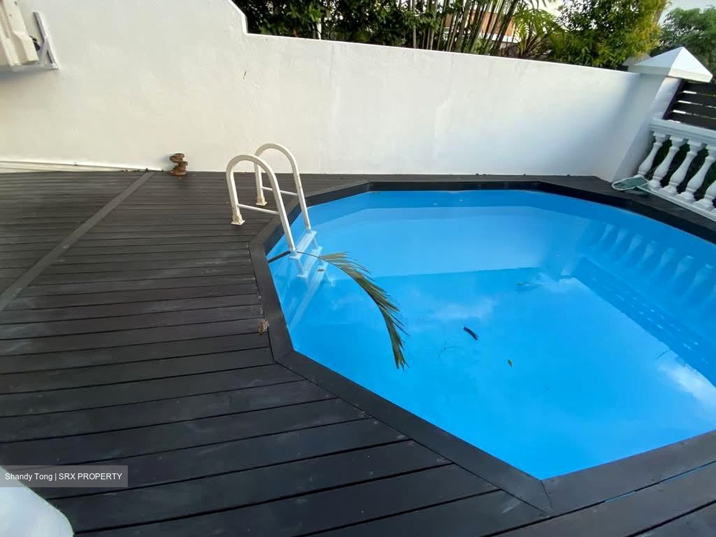 Serangoon Garden Estate (D19), Terrace #575388011